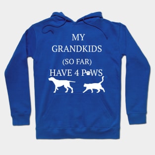 Grandkids have 4 paws Hoodie